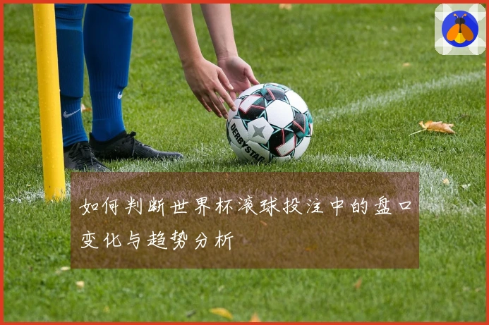 如何判断世界杯滚球投注中的盘口变化与趋势分析