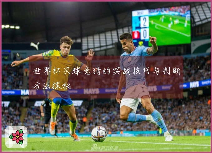 世界杯买球竞猜的实战技巧与判断方法探秘