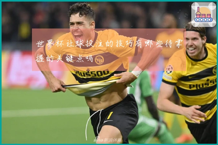 世界杯让球投注的技巧有哪些待掌握的关键点吗