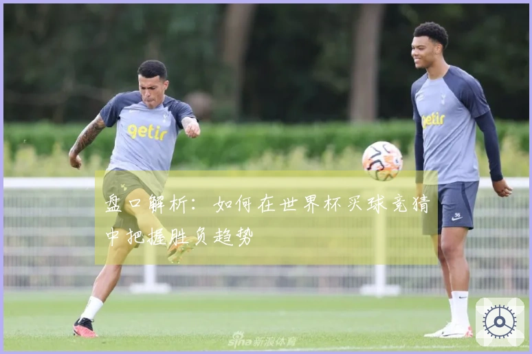 盘口解析：如何在世界杯买球竞猜中把握胜负趋势