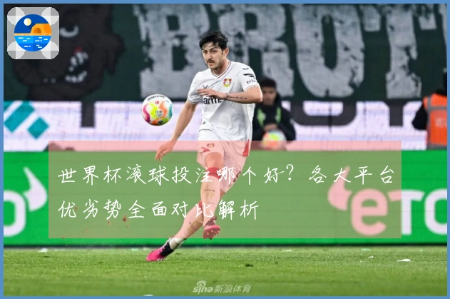 世界杯滚球投注哪个好？各大平台优劣势全面对比解析