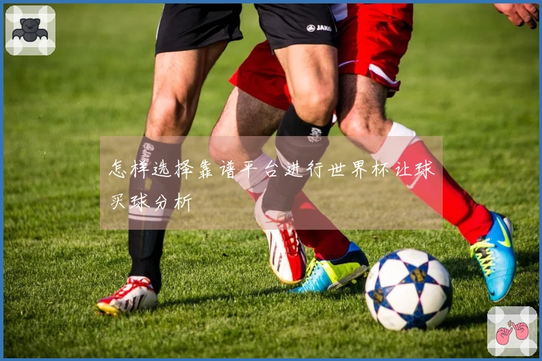 怎样选择靠谱平台进行世界杯让球买球分析