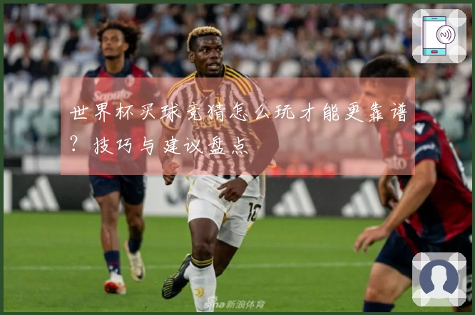 世界杯买球竞猜怎么玩才能更靠谱？技巧与建议盘点